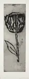 Donald Baechler, Scroll, 2007, Etching, on wove paper, with full margins,