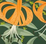 Alex Katz, Superb Lilies, 1972, Lithograph in colors, on Arches paper, the full sheet,