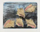 Jim Dine, Five Shells, 1982, Etching and aquatint with hand-coloring, on Rives BFK paper, with full margins,