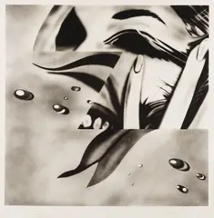 Zone by James Rosenquist, 1972, Lithograph, on Hodgkinson handmade paper, with margins,, sold Oct 2013