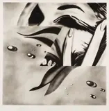 James Rosenquist, Zone, 1972, Lithograph, on Hodgkinson handmade paper, with margins,
