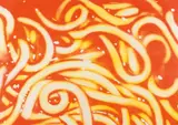 James Rosenquist, Spaghetti