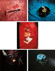Tropical Fish Series by Ed Ruscha, 1975, The complete set of five screenprints in colours with lacquer overprint, on Arches 88 paper, the full sheets, offered Oct 2013