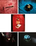 Ed Ruscha, Tropical Fish Series, 1975, The complete set of five screenprints in colours with lacquer overprint, on Arches 88 paper, the full sheets
