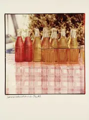 Study For Chinese Summer Hall: one print by Robert Rauschenberg, 1983, Chromogenic print, on glossy photo paper, with full margins,, sold Oct 2013