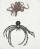 Kiki Smith, Untitled (for David Wojnarowicz), from 1989 Portfolio