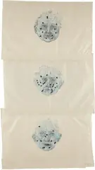 Constellations by Kiki Smith, 1996, Lithograph in colors with applied black flocking, on six sheets of handmade Nepalese Himalyan paper glued together (as i, offered Oct 2013