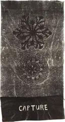 Kiki Smith, Capture, 1994, Relief monotype with lithograph and cut-out letters, on handmade Nepalese paper, the full sheet,