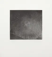 Untitled (Web 2) by Vija Celmins, 2001, Mezzotint, on Hahnemühle Copperplate paper, with full margins,, sold Oct 2013