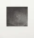Vija Celmins, Untitled (Web 2), 2001, Mezzotint, on Hahnemühle Copperplate paper, with full margins,