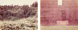 William Christenberry, Cudzu; and Tin Wall