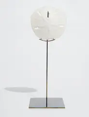 Carol Bove, Untitled, 2009, Brass stand and shell multiple,
