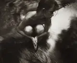 Shiva at Whistle Creek by Sally Mann, 1992, Gelatin silver print, sold Apr 2013