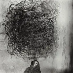 Roger Ballen, Twirling Wires, 2001, Selenium toned gelatin silver print