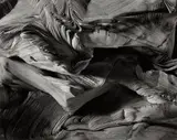 Abelardo Morell, Detail of Book Damaged by Water