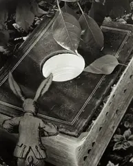 Down the Rabbit-Hole by Abelardo Morell, 1998, Gelatin silver print, sold Apr 2013