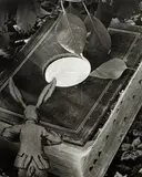 Down the Rabbit-Hole by Abelardo Morell, 1998, Gelatin silver print, sold Apr 2013