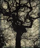 Doug Starn and Mike Starn, Structure of Thought #6