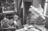 Henri Cartier-Bresson, Henri Matisse, Vence, France