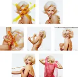 Bert Stern, The Marilyn Monroe Portfolio
