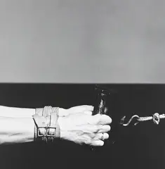 Lisa Lyon by Robert Mapplethorpe, 1982, Gelatin silver print, flush-mounted, sold Apr 2013