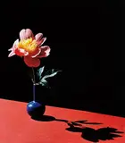 Horst P. Horst, Peony in Blue Vase