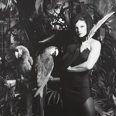 Lisa Lyon by Robert Mapplethorpe, 1982, Gelatin silver print, sold Apr 2013