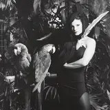 Lisa Lyon by Robert Mapplethorpe, 1982, Gelatin silver print, sold Apr 2013