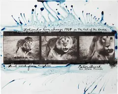 Loliondo, Lion charge by Peter Beard, 1964, Gelatin silver print, printed later, offered Apr 2013