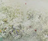 Ori Gersht, Untitled I from Elephant