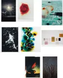 Selected images by Wolfgang Tillmans, 1995-2005, Eight chromogenic prints, sold Apr 2013