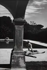 Nude and Police Dog, St. Tropez by Helmut Newton, 1975, Gelatin silver print, printed later, sold Oct 2013