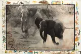 Peter Beard, Buffalo Springs, Kenya, July, 1960, Gelatin silver print with ink, paint, drawings by the artists Kivoi Mathenge and E. Mwangi Kuria and affixed feather, printed 1996-1997