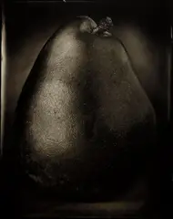 Red Pear by Tom Baril, 2004, Gelatin silver print, offered Oct 2013