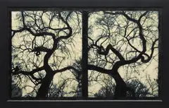 Blot Out The Sun #4 by Doug Starn and Mike Starn, 1999-2003, Archival inkjet prints on Gampi and Thai Mulberry papers with wax, encaustic and varnish, mounted, sold Oct 2013