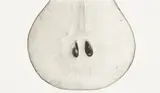 Irving Penn, Pear with Seeds (A), New York