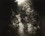 Untitled from Deep South by Sally Mann, 1998, Toned gelatin silver print, sold Oct 2013