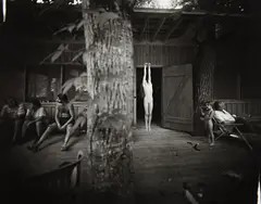 Hay hook by Sally Mann, 1989, Gelatin silver print, sold Oct 2013