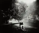 The Alligator's Approach by Sally Mann, 1988, Gelatin silver print, sold Oct 2013
