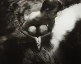 Shiva at Whistle Creek by Sally Mann, 1992, Gelatin silver print, sold Oct 2013