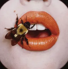 Bee (A), New York, September by Irving Penn, 1995, Dye destruction print, sold Oct 2013