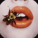 Irving Penn, Bee (A), New York, September