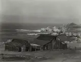 Edward Weston, Monterey Coast
