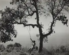 Winter Idyll by Edward Weston, 1945, Gelatin silver print, offered Oct 2013