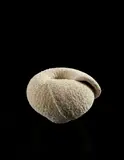 Makiko Hattori, "Shirushi" (Sign), 2012, Porcelain, hand-built