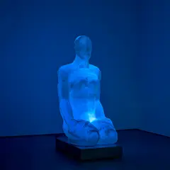 Jaume Plensa, Tattoo III, 2004, polyester resin, stainless steel and light