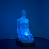Jaume Plensa, Tattoo III, 2004, polyester resin, stainless steel and light