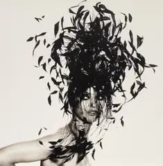 Irving Penn, Woman in Feather Hat, New York, platinum-palladium print, mounted