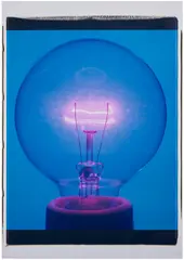 Amanda Means, Light Bulb 00032C, 2001, unique Polaroid 20x24 print, mounted