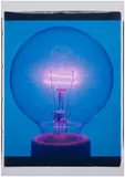 Amanda Means, Light Bulb 00032C, 2001, unique Polaroid 20x24 print, mounted